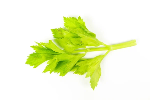 Friss zöld zeller elszigetelt fehér háttér — Stock Fotó