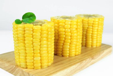 sarı beyaz arka plan üzerinde izole Mısır