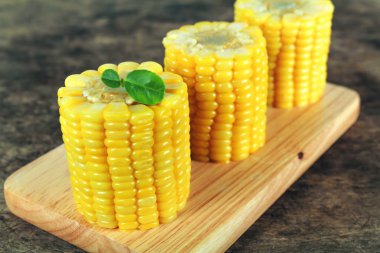 sarı beyaz arka plan üzerinde izole Mısır