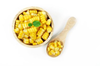 sarı beyaz arka plan üzerinde izole Mısır