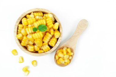 sarı beyaz arka plan üzerinde izole Mısır