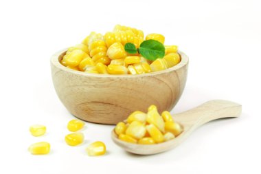 sarı beyaz arka plan üzerinde izole Mısır