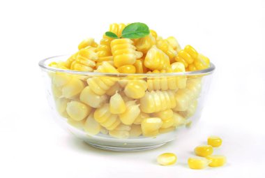 sarı beyaz arka plan üzerinde izole Mısır