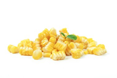 sarı beyaz arka plan üzerinde izole Mısır