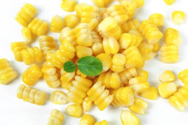 sarı beyaz arka plan üzerinde izole Mısır