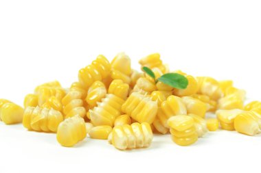 sarı beyaz arka plan üzerinde izole Mısır