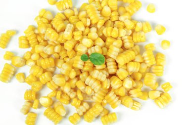 sarı beyaz arka plan üzerinde izole Mısır