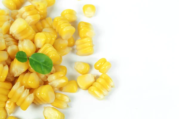 Yellow sweet corn isolated on white background — Stock Photo, Image