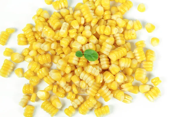 sarı beyaz arka plan üzerinde izole Mısır