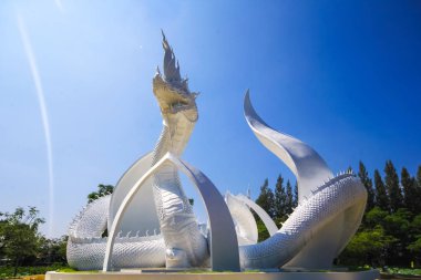 Beyaz yılan lotus parklarda, Sakon Nakon, Tayland