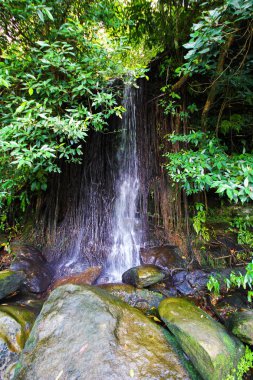 Sai-IJD şelale Phu Pha Yon Ulusal Park, Sakon Nakon, Tayland