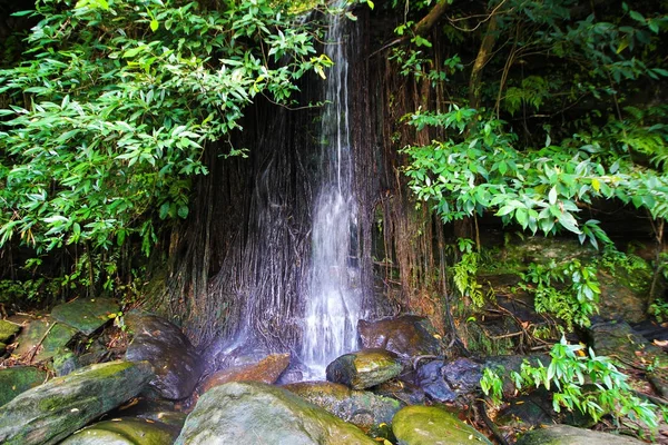 Sai-yoi waterfall in Phu Pha Yon National park, Sakon Nakon, Thailand — Stock Photo, Image