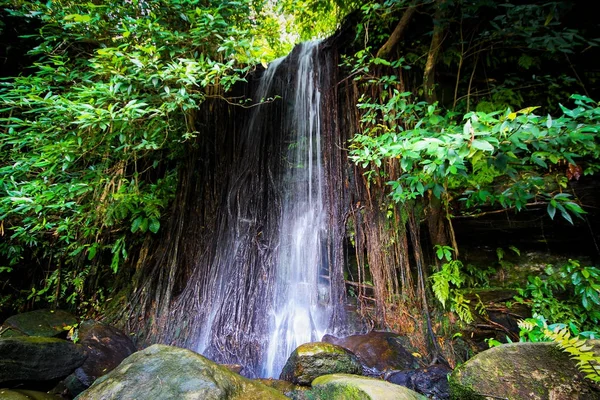 プー Pha ヨン国立公園、左近 Nakon、タイでサイ宵滝 — ストック写真