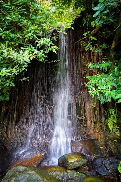 Водопад Сай-ёй в Национальном парке Фу Пха Йон, Сакон Након, Таиланд — стоковое фото
