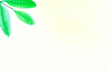 sarı arka plan üzerinde taze yeşil çimen yaprakları