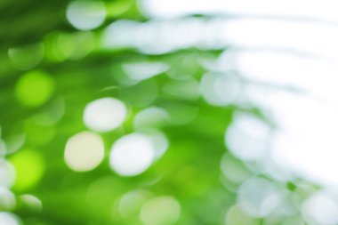 Doğa üzerindeki yeşil bokeh. Sanat soyut bulanık arkaplan.
