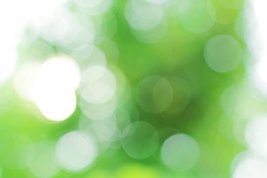 Doğa üzerindeki yeşil bokeh. Sanat soyut bulanık arkaplan.