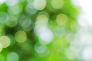 Doğa üzerindeki yeşil bokeh. Sanat soyut bulanık arkaplan.