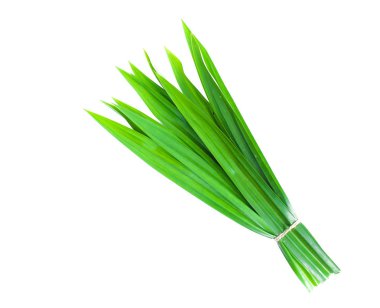 Taze Pandan yaprakları beyaz arkaplanda izole