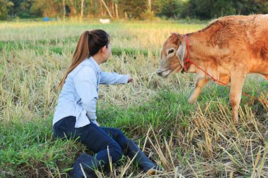 inek alan pilav kadın çiftçi