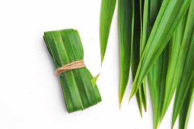 Taze Pandan yaprakları beyaz arkaplanda izole