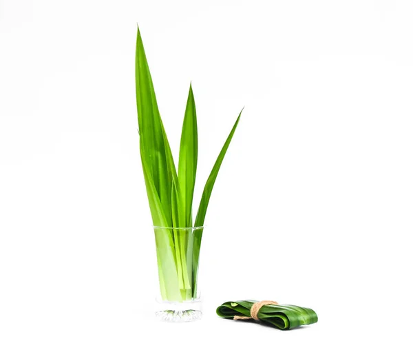 Fresh Pandan Leaves Isolated White Background — Stock Photo, Image