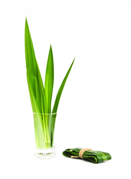 Fresh Pandan Leaves Isolated White Background — Stock Photo, Image