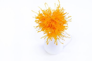 Beyaz arka plan üzerinde beyaz bir vazoda sarı çiçek