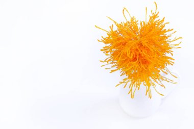 Beyaz arka plan üzerinde beyaz bir vazoda sarı çiçek