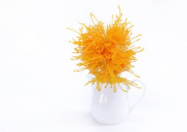 Beyaz arka plan üzerinde beyaz bir vazoda sarı çiçek