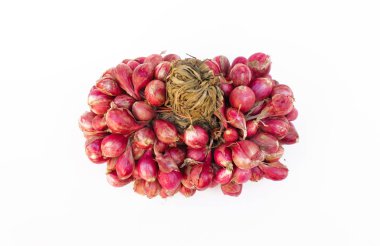 taze soğan veya soğan, bitki ve bitkisel, gıda içerikler