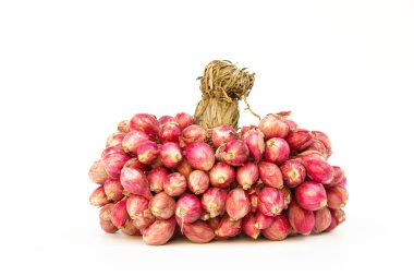 taze soğan veya soğan, bitki ve bitkisel, gıda içerikler