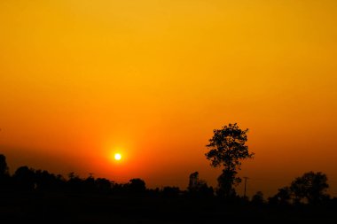 Kırsal sunset akşam ayrıntılarını