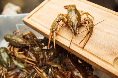 Ahşap masa, yeşil ıstakoz haşlanmış olabilir hazır üzerinde taze kerevit