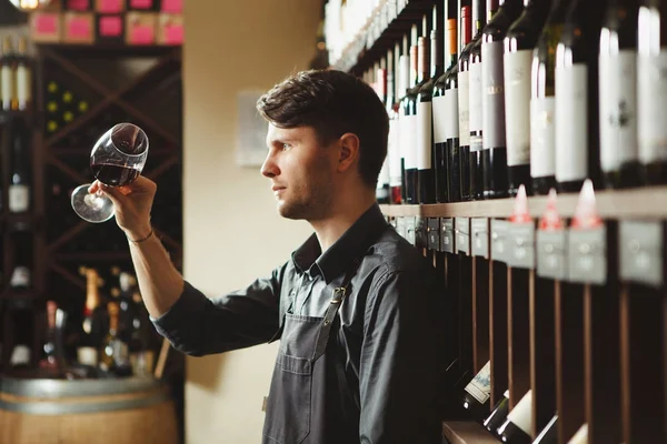 Barman olha para o vinho tinto em vidro na adega — Fotografia de Stock