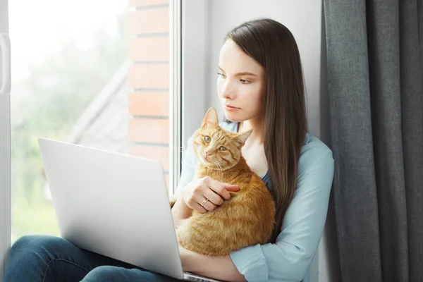 Thoughtful woman read information on notebook holding red pussy cat — Stock Photo, Image