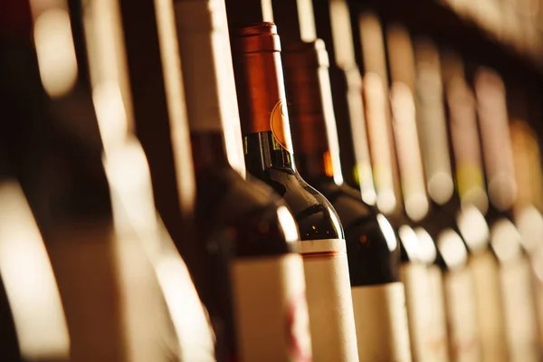 Wine cellar with elite drinks on shelves with written names — Stock Photo, Image