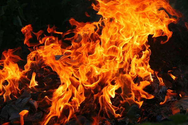 Orangefarbene Flammen. — Stockfoto