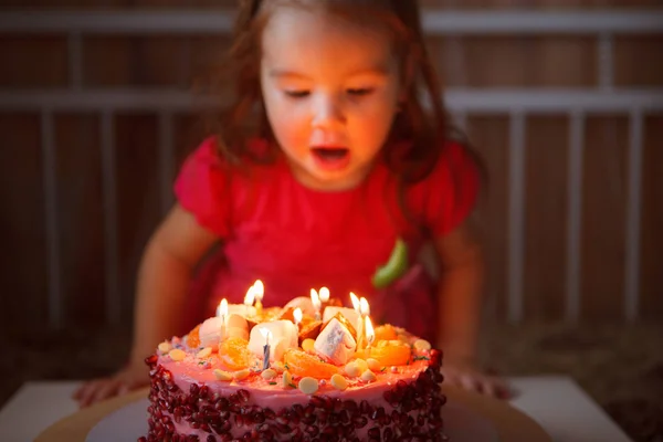 Little girl in festive dress out the candles on the cake. the childs birthday. — Stock Photo, Image