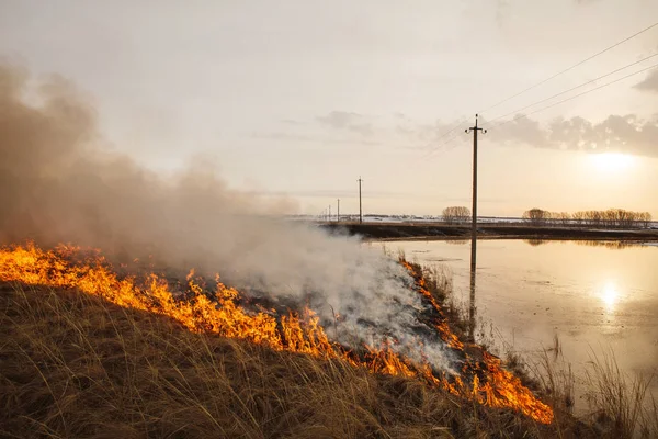 a terrible fire destroys the field. the flame burns the spring grass. security measures and prevent burning.