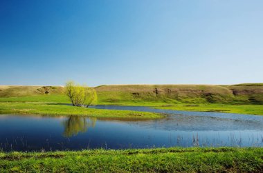 bir ağaç arka planda mavi gökyüzünün ve yeşil alanları ile küçük bir göl.