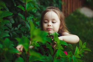 doğa eğitim küçük kız. faiz yaşam çocuklarda eğitim.