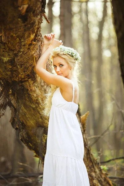 Mujer rubia está de pie en vestido blanco por árbol . — Foto de Stock
