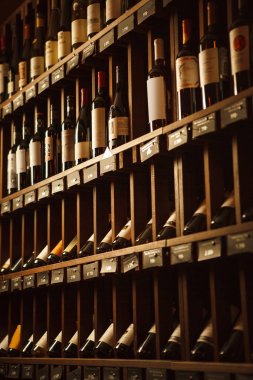 Şarap mahzeninde seçkin içecekler yazılı isimlerle raflarda.