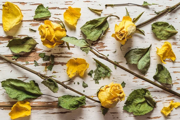 Kurutulmuş Sarı gül yaprakları ve dağınık yaprakları ile. Üstten Görünüm.