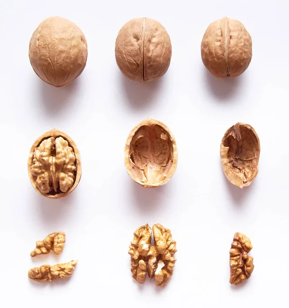 Walnuts Whole Open Walnut Kernels Shell White Isolated Background View — 스톡 사진