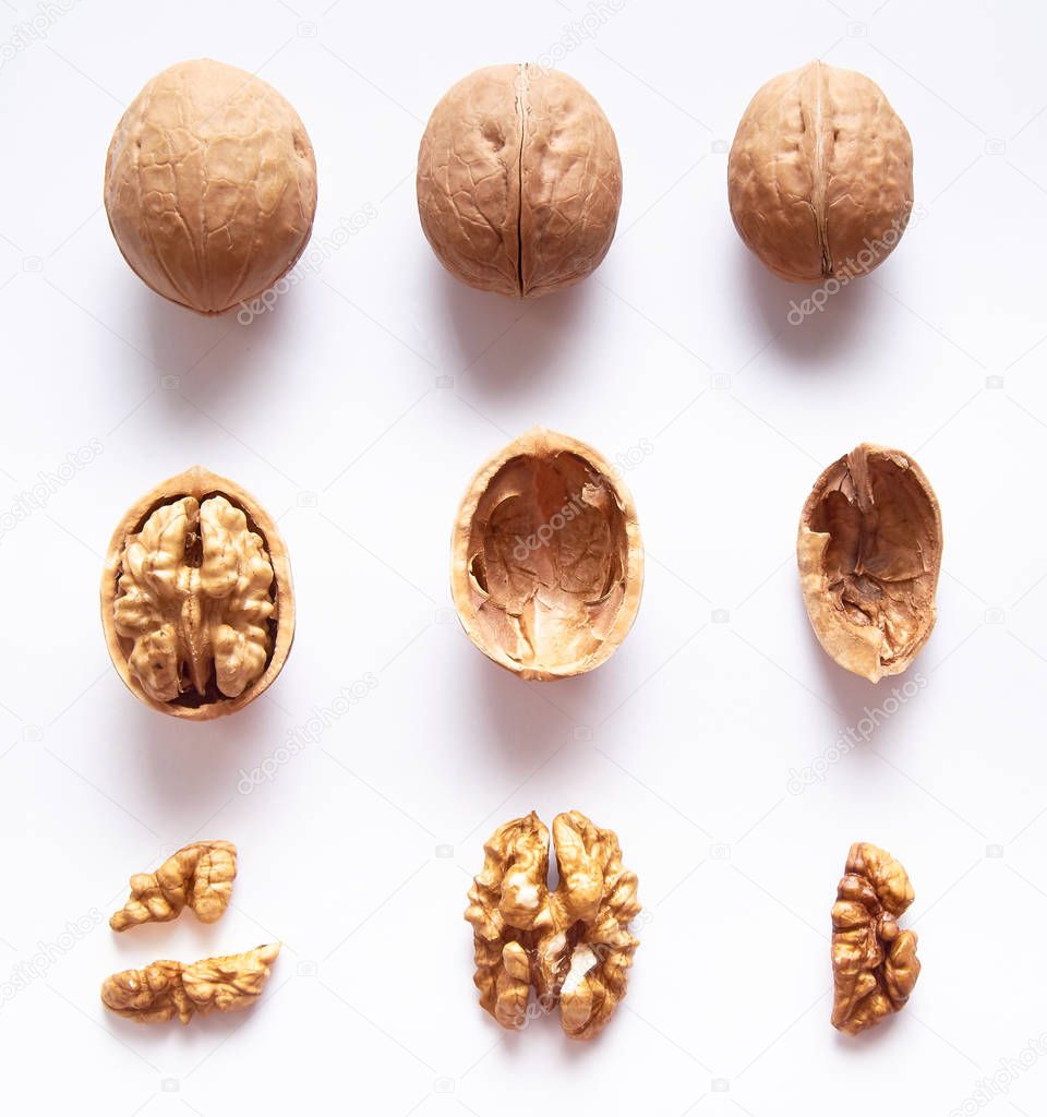 Walnuts whole and open, walnut kernels shell on a white isolated background. The view from the top. Close up.