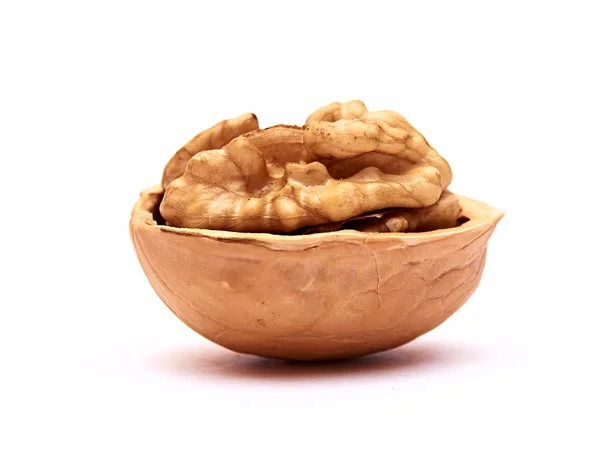 İzole edilmiş beyaz arka planda ceviz. Kapatın. Makro.