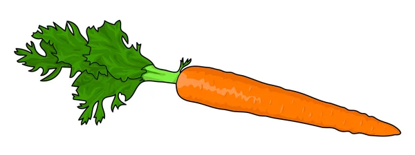 Jeden kawałek marchewki — Zdjęcie stockowe
