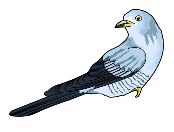 Cuckoo in three-quarters — Stock Photo, Image